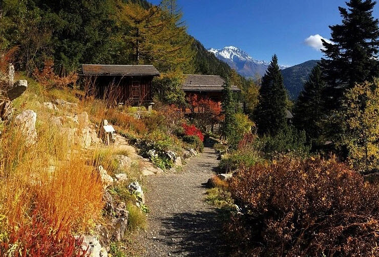Alpin Flore-Alpe Botanical Garden, Orsières, Switzerland, Switzerland